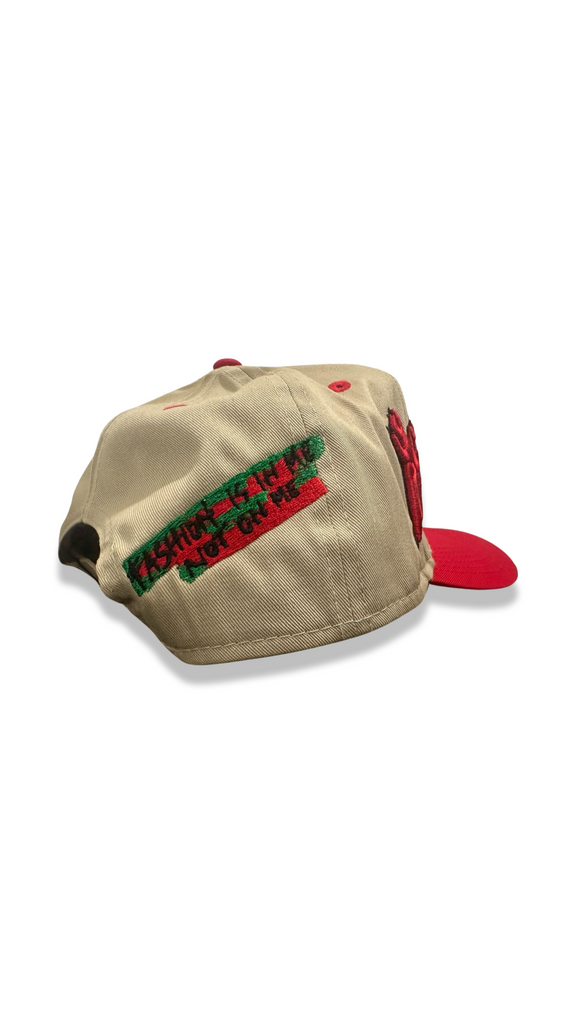 Two Toned High Fashion Trucker Hat